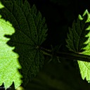 01_20130602-DSC_6340-Edit-Edit