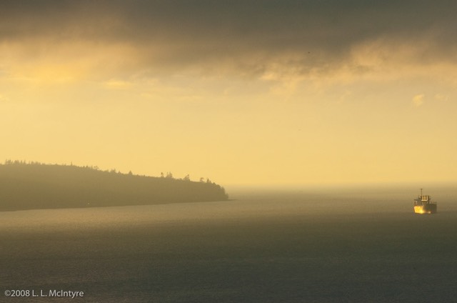 Evening Mist