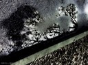 11_llm-puddle_20120422-CIMG3523-Edit-3