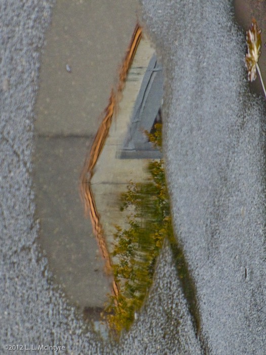 28_llm-puddle_20121008-CIMG4422