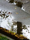 31_llm-puddle_20121008-CIMG4423