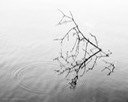 32_mcintyre_traces_Tuebingen, Germany