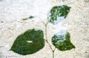 33_mcintyre_traces_Tuebingen, Germany