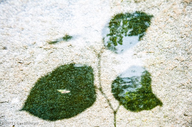 33_mcintyre_traces_Tuebingen, Germany
