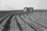 dorothea-lange-tractored-out-1936