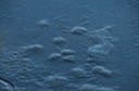 Ice on Lost Lagoon