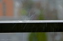 Sudden Splash